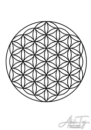 flower of life masculine atala toy
