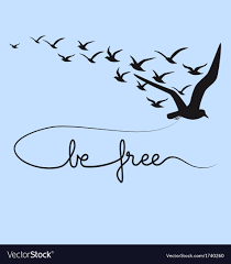 be free text flying birds royalty free