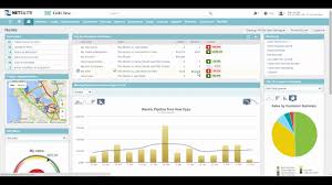 Support phone menu routing options. Netsuite Sales Rep Dashboard Demo Youtube