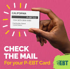is my student eligible for a p ebt card
