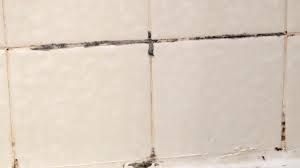 black mold in the shower how to clean