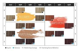 Goldwell Colorance Color Chart Google Search