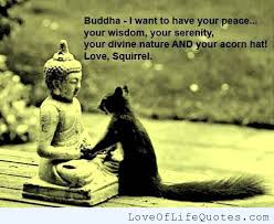 buddha Archives - Love of Life Quotes via Relatably.com