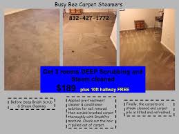 busy bee carpet steamers reviews