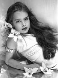 Find the perfect brooke shields pretty baby stock photos and editorial news pictures from getty images. Gary Gross Pretty Baby Hollywood Published Child Porn And Nobody Stopped Them 22 X 16 3 4 Inches
