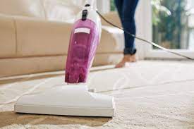 diy vs professional carpet cleaning