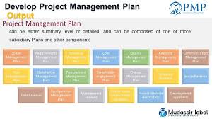 planning process group pmp capm