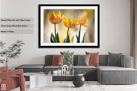 Colourful Tulips Framed Or Canvas Wall Art