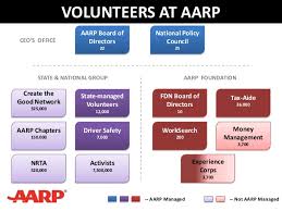 Volunteer Program Org Chart