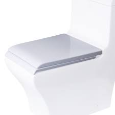 Soft Closing Toilet Seat For Tb356