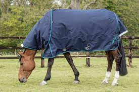 mark todd heavyweight turnout rug with