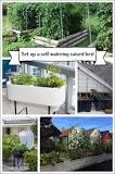 how-do-self-watering-garden-beds-work