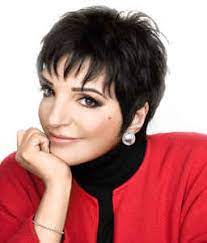 The daughter of entertainment royalty (her mother is judy garland), liza minnelli is an american treasure. Liza Minnelli Diskographie Discogs