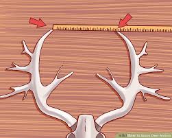 How To Score Deer Antlers With Pictures Wikihow