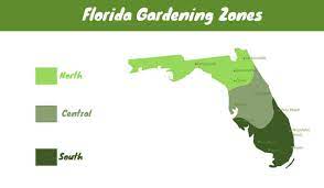Planting A Spring Garden In Florida