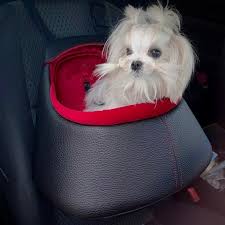 Dog Car Seat Booster Puppy Car Seat