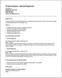 Curriculum Vitae English Example Free Resume Creator