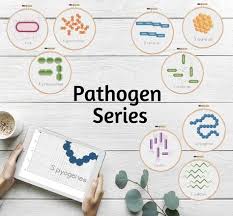 Diy Cross Stitch Pdf Pathogens Series Beginner Embroidery
