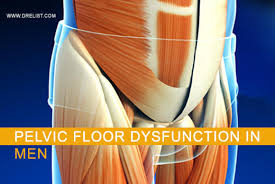 pelvic floor dysfunction in men dr