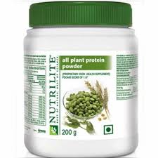 nutrilite all plant protein powder at