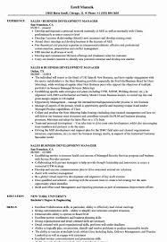 Sales Manager Resume Examples Best Of Resume For Marketing Position