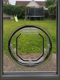 Large Dog Flap In Glass Door