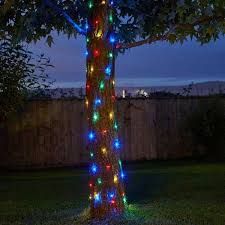 Multi Coloured Firefly Solar String Lights