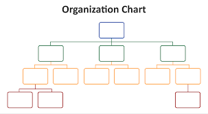 printable organizational chart template