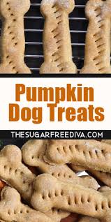 Treat your dog to a vegetable feast with these dog treats! Pumpkin Dog Treats The Sugar Free Diva