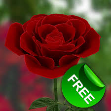 free 3d rose live wallpaper