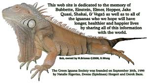 Green Iguana Society Site Outline Credits Acknowledgements