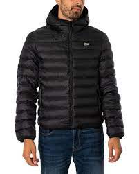 Men S Lacoste Down And Padded Jackets