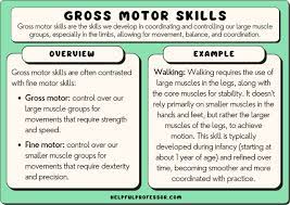 50 gross motor skills exles 2024