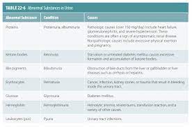 composition of urine urinary system