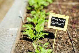 Why Garden Markers And Plant Labels Are