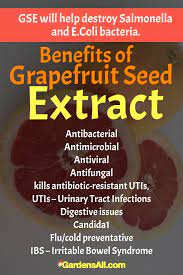 benefits of gfruit seed extract
