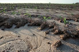 soil erosion types effects prevention
