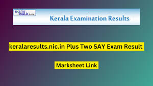 plus two say exam result 2023