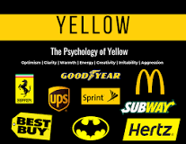 why-yellow-is-the-best-color