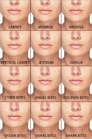 Lip Piercings In 2019 Piercings Facial Piercings Face