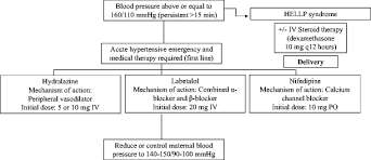 Pathophysiology Of Eclampsia In Flowchart Of Selection Process
