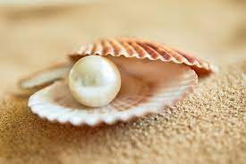 top 10 most expensive pearls here s