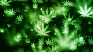 46 live weed wallpapers that move