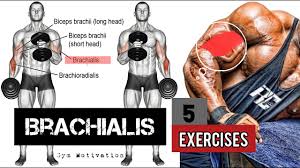 best 5 exercises brachialis workout