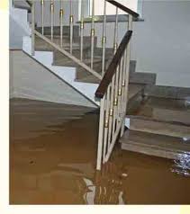 Source dealing with water damage (with images) | prevent basement within how to deal with flooded beautiful basement water leak repair layout tips and recommendations to decorate like a professional basement water leak repair layout can scare courageous estate proprietors because it… What To Do When Your Basement Is Flooded Basement Guides