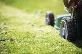 windsor mowing and lawn care company