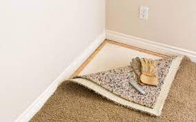 what to do about carpet mold markham