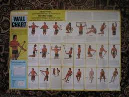 Bullworker Exercise Chart With Training Videos Show How To