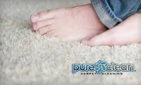 pure clean seattle carpet cleaning