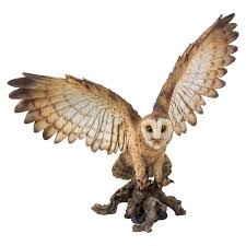 Barn Owl On Stump With Wings
